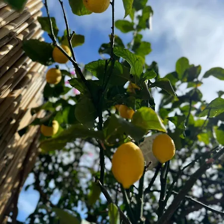 Daire Casa Ohana Open Space 4 Persone Ceriale