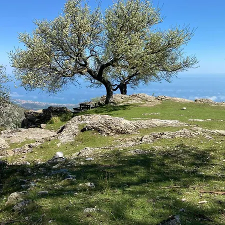 Casa Ohana Open Space 4 Persone * Ceriale