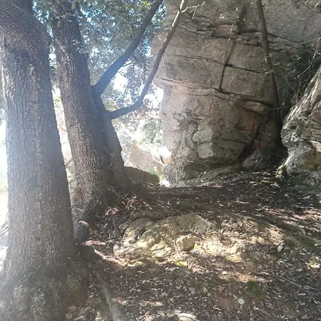 Casa Ohana Open Space 4 Persone * Ceriale