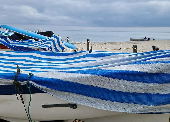 Casa Ohana Open Space 4 Persone 公寓 切里亚莱