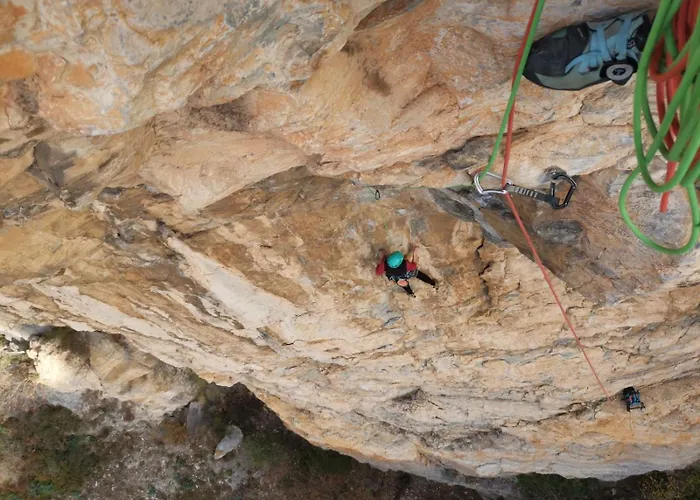 公寓 Casa Ohana Open Space 4 Persone 切里亚莱