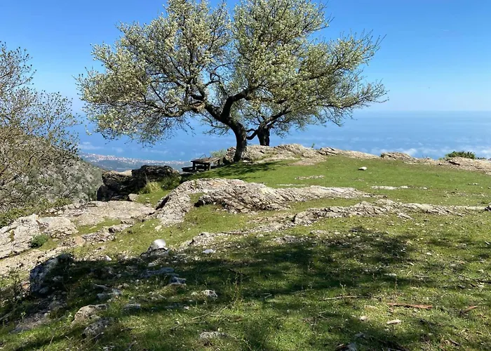 Casa Ohana Open Space 4 Persone * 切里亚莱