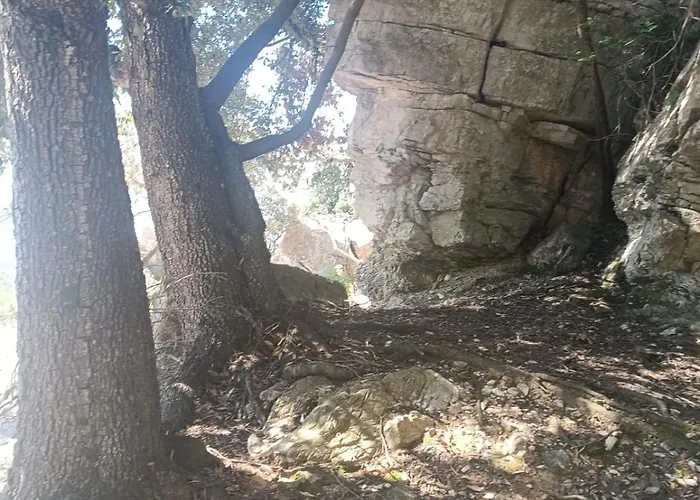 Casa Ohana Open Space 4 Persone * 切里亚莱